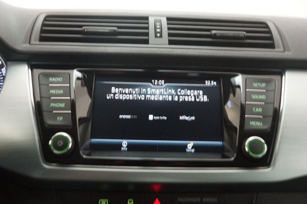 Skoda Fabia usata a Torino (18)