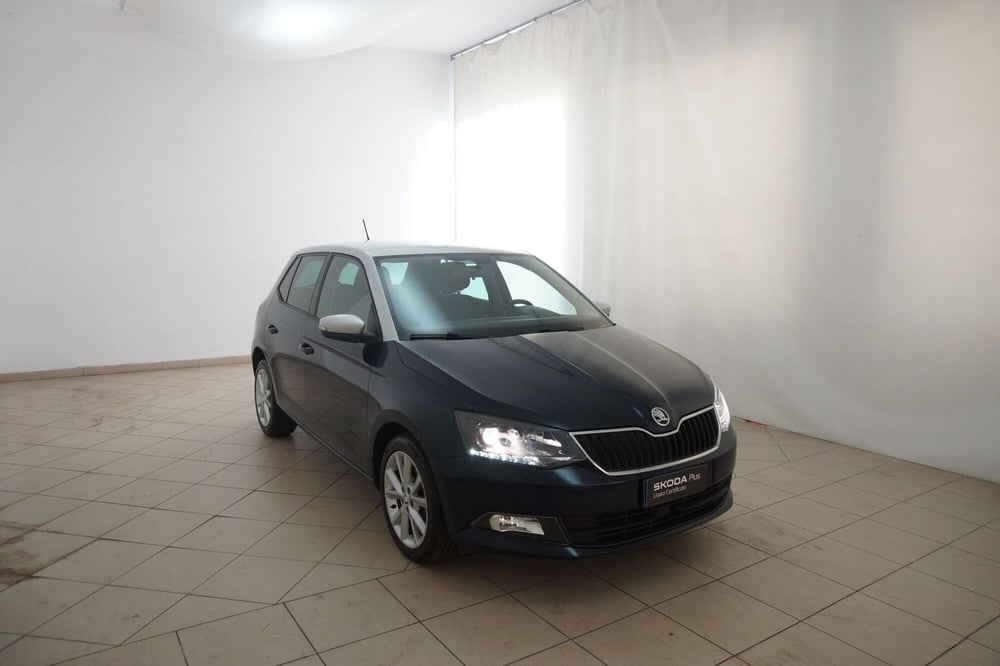 Skoda Fabia usata a Torino (20)