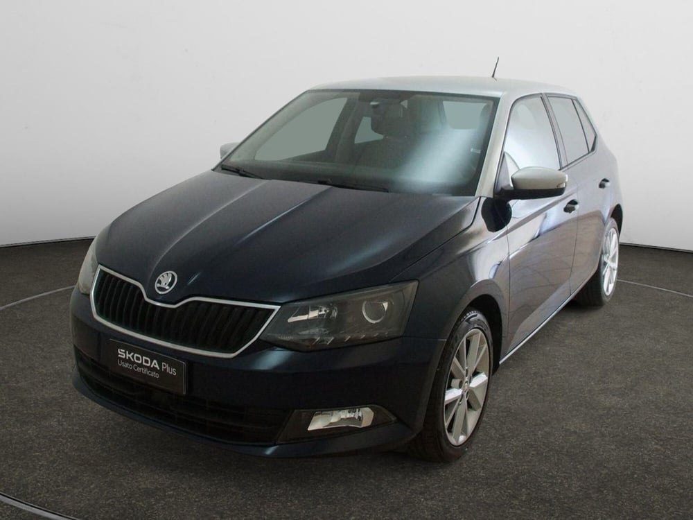 Skoda Fabia usata a Torino (3)