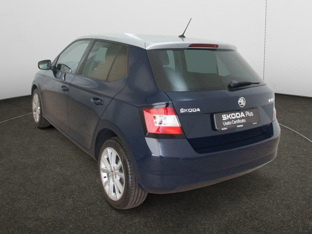 Skoda Fabia usata a Torino (4)