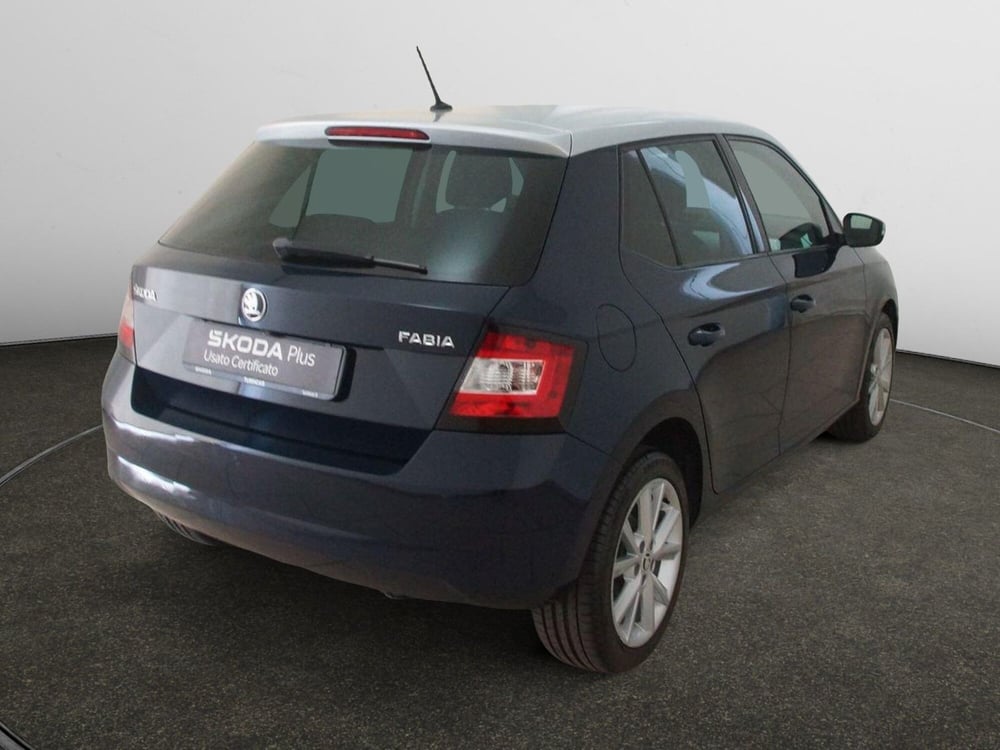 Skoda Fabia usata a Torino (6)