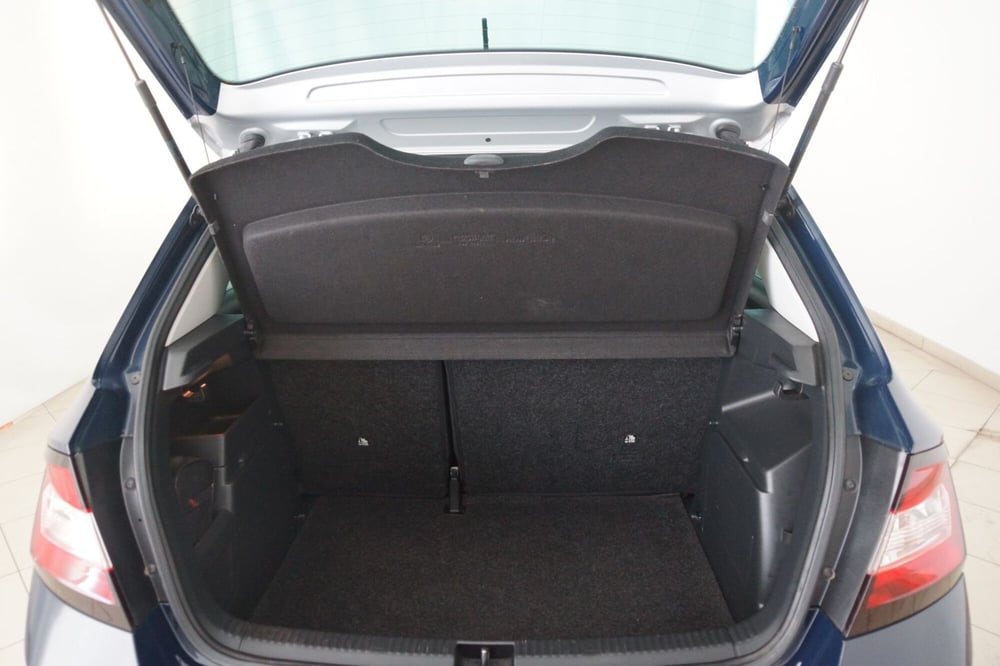 Skoda Fabia usata a Torino (7)