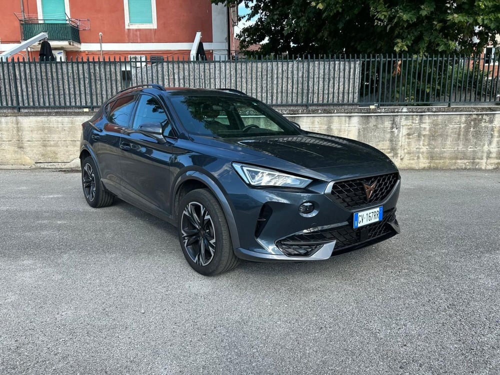 Cupra Formentor usata a Salerno (2)
