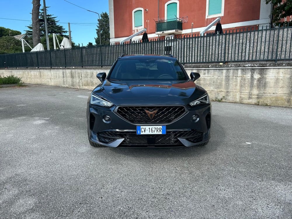 Cupra Formentor usata a Salerno (9)
