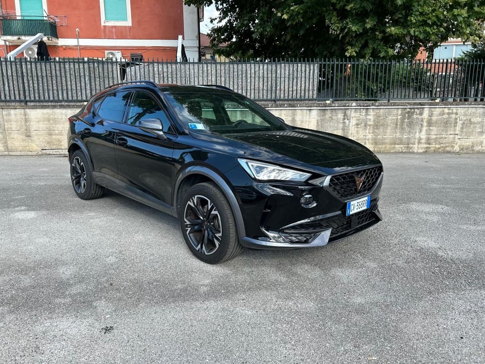 Cupra Formentor usata a Salerno (2)