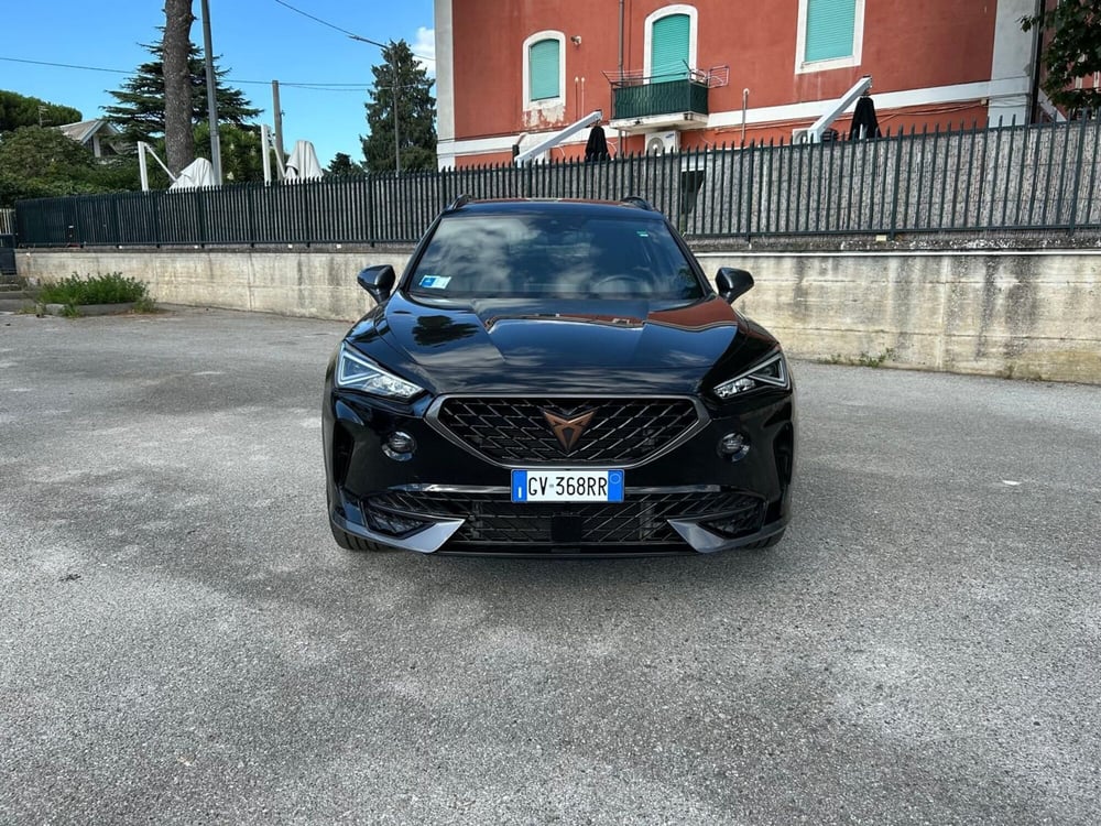 Cupra Formentor usata a Salerno (9)