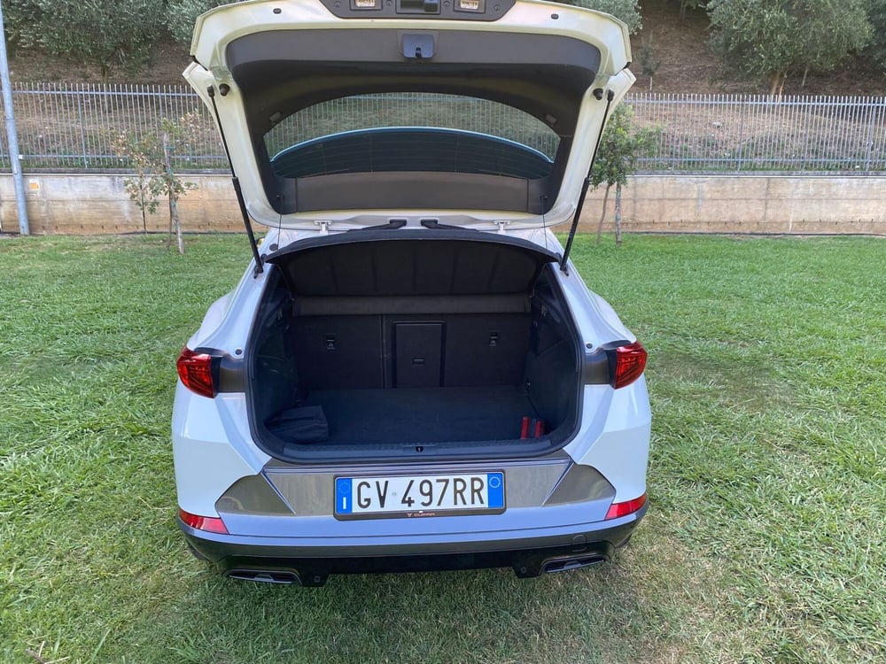 Cupra Formentor usata a Salerno (12)