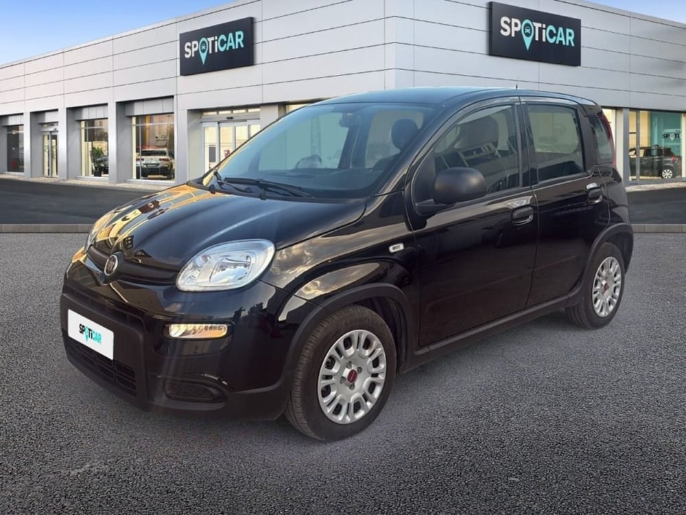 Fiat Panda usata a Foggia