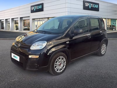 Fiat Panda 1.0 firefly hybrid s&amp;s 70cv del 2023 usata a Foggia
