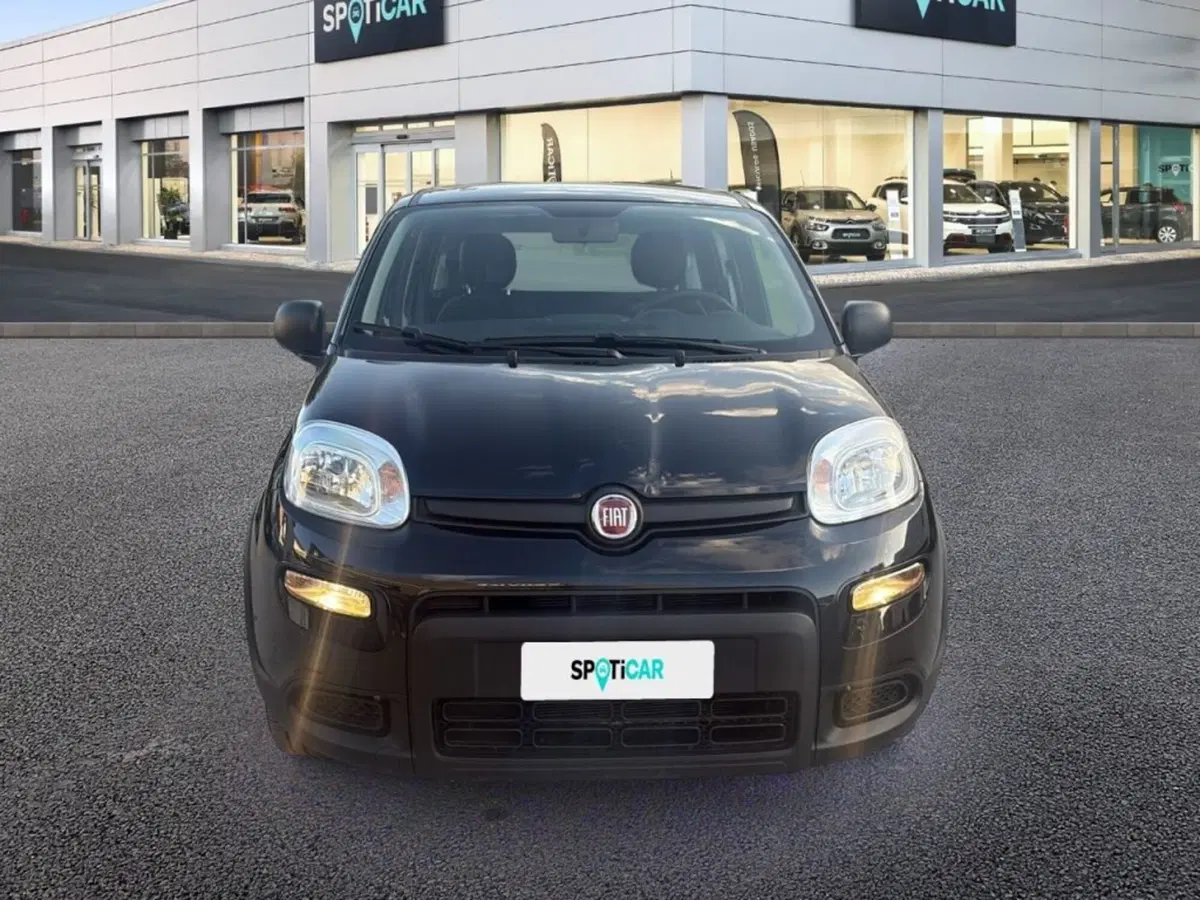 Fiat Panda usata a Foggia (2)
