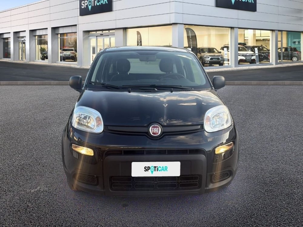 Fiat Panda usata a Foggia (2)