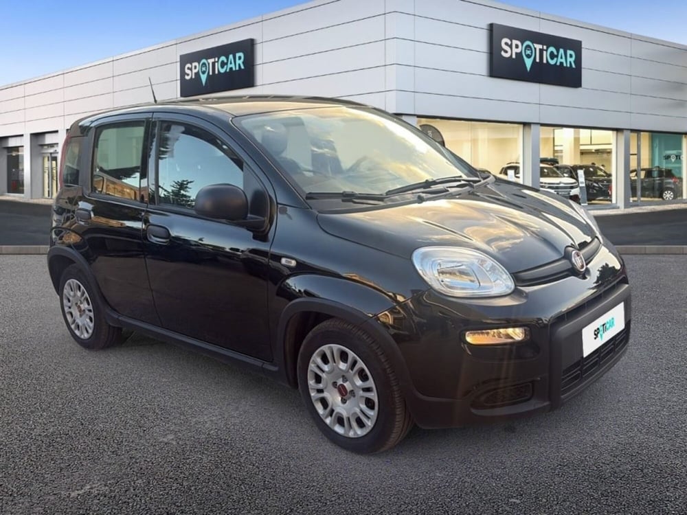 Fiat Panda usata a Foggia (3)