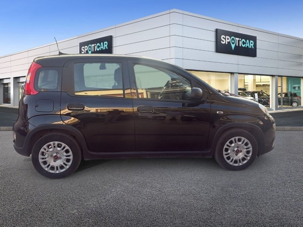 Fiat Panda usata a Foggia (4)