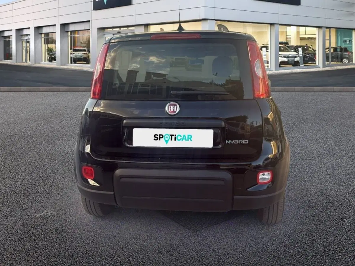 Fiat Panda usata a Foggia (5)