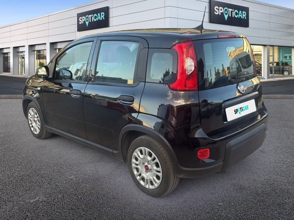 Fiat Panda usata a Foggia (9)