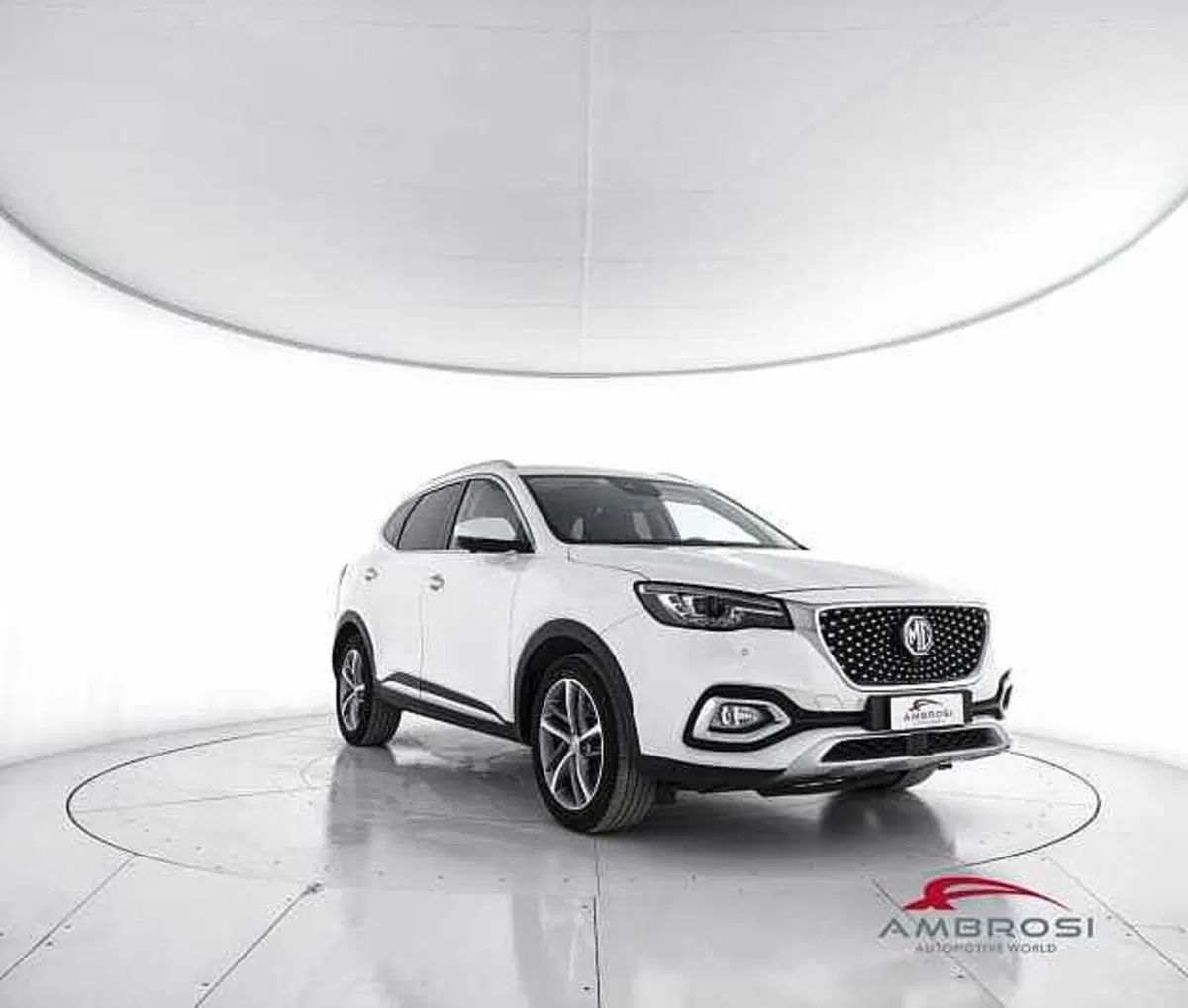 Mg HS usata a Perugia (2)