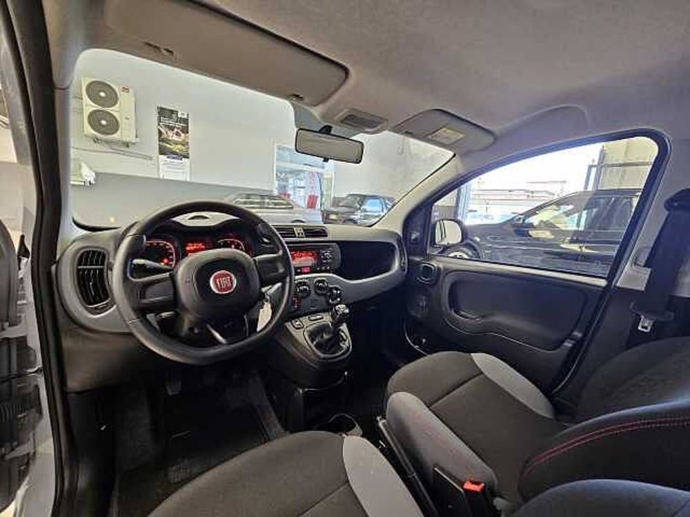 Fiat Panda usata a Caserta (10)