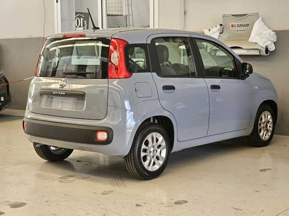 Fiat Panda usata a Caserta (6)