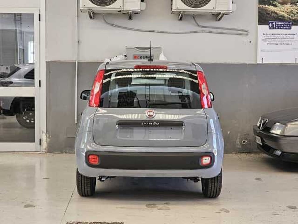 Fiat Panda usata a Caserta (7)