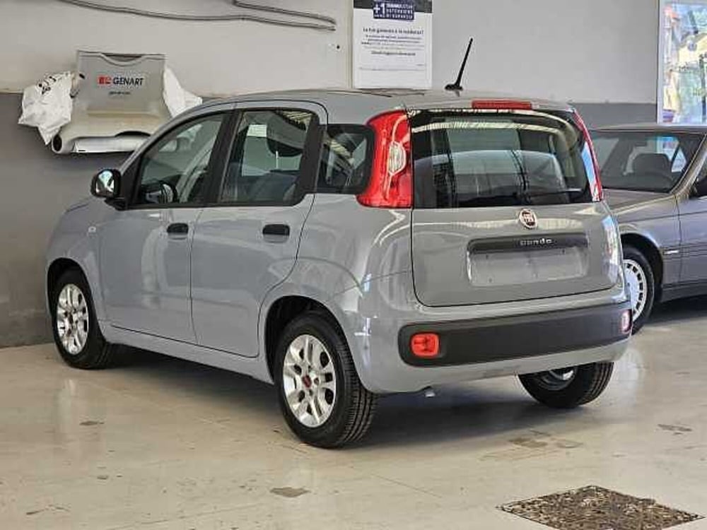 Fiat Panda usata a Caserta (8)