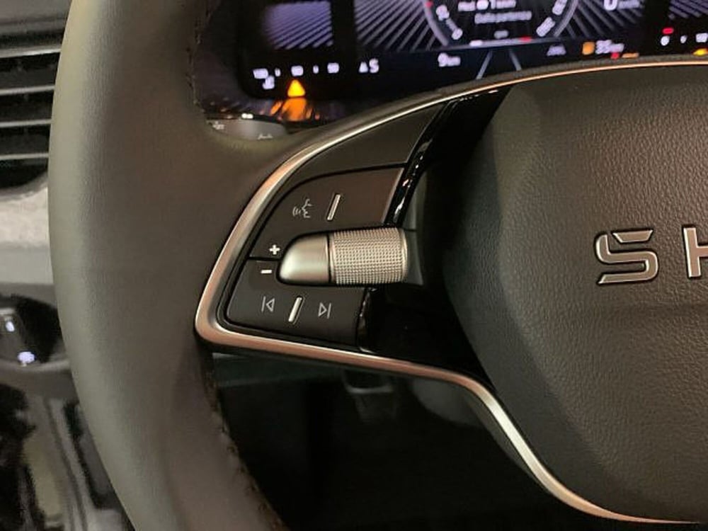 Skoda Kamiq nuova a Vicenza (10)