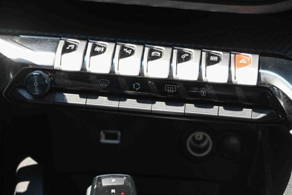 Peugeot 3008 usata a Torino (19)