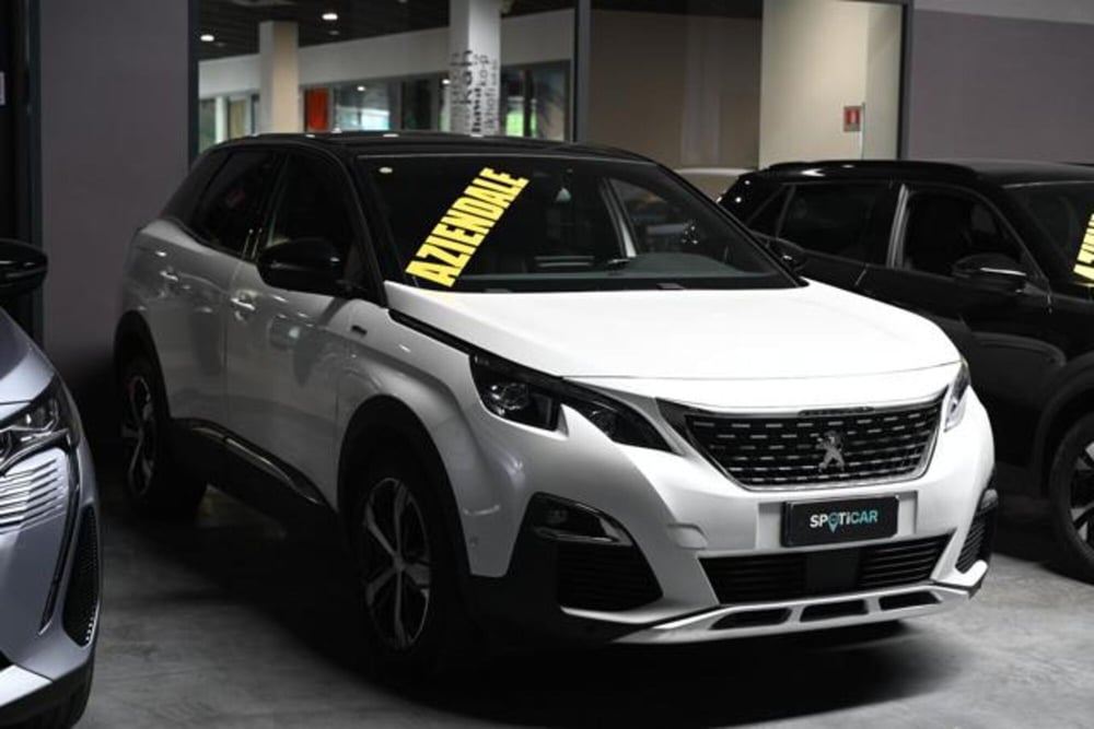 Peugeot 3008 usata a Torino (3)