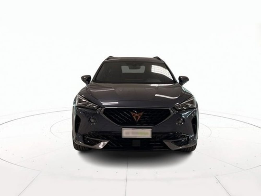 Cupra Formentor usata a Vicenza (2)