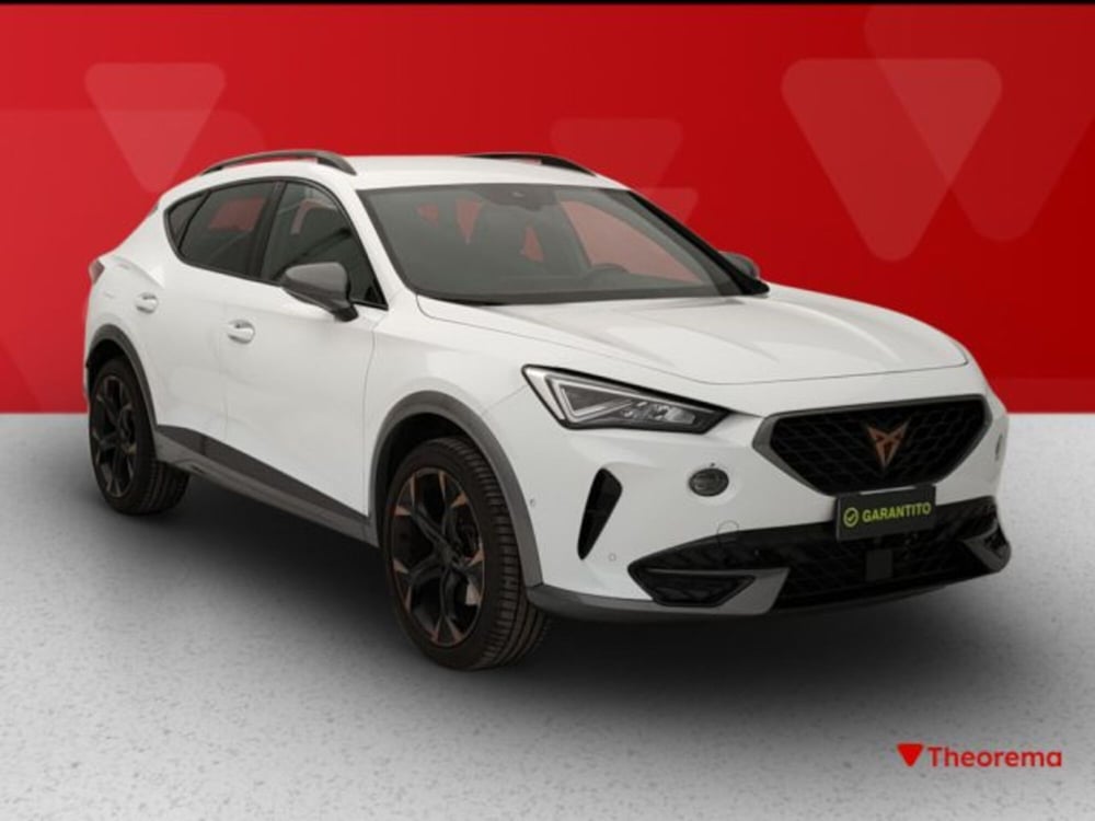 Cupra Formentor usata a Torino (7)