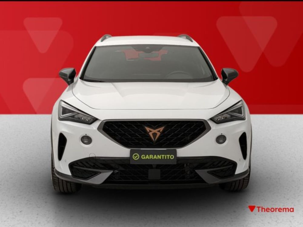 Cupra Formentor usata a Torino (8)