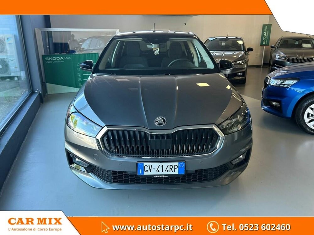 Skoda Fabia usata a Piacenza (2)