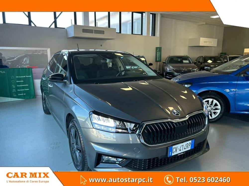 Skoda Fabia usata a Piacenza (3)