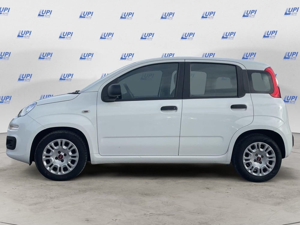 Fiat Panda usata a Firenze (2)