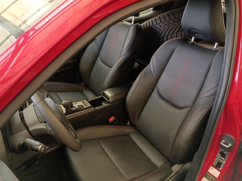 Lexus LBX usata a Milano (11)