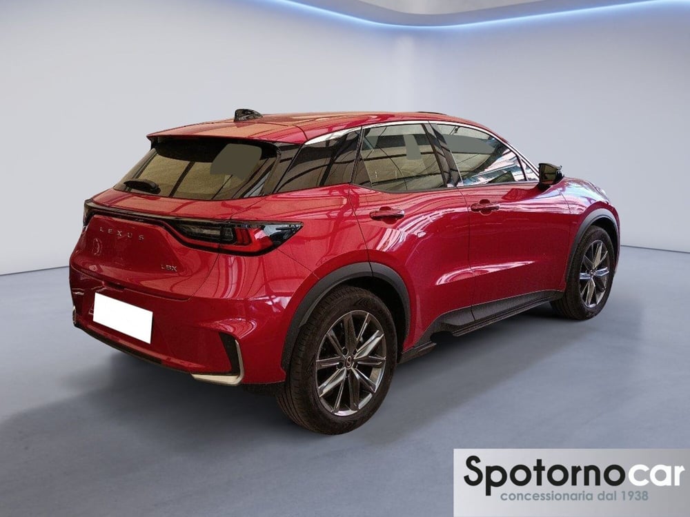Lexus LBX usata a Milano (18)