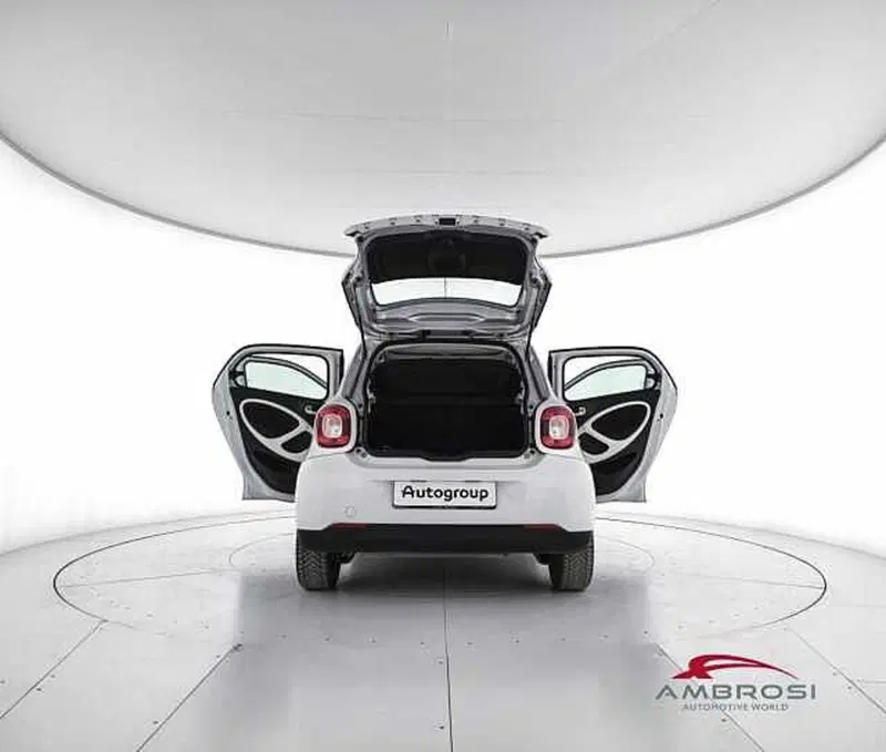 smart forfour usata a Viterbo (7)