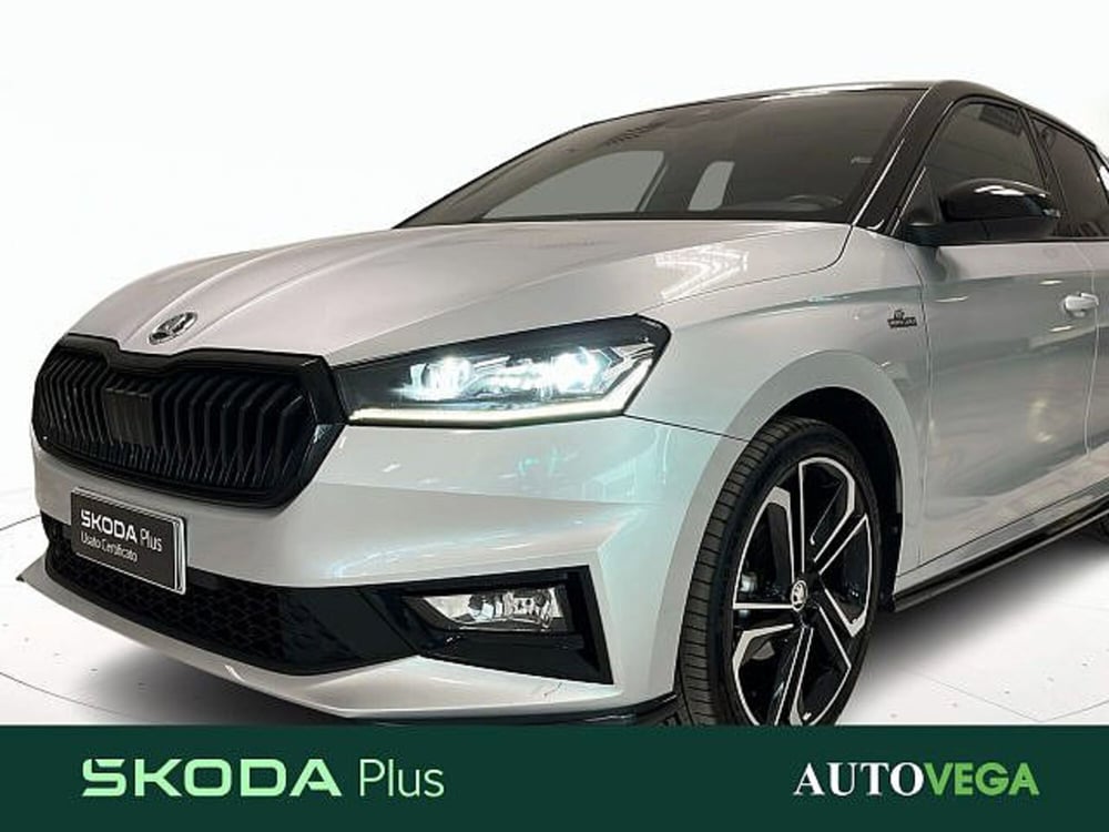 Skoda Fabia usata a Vicenza (17)