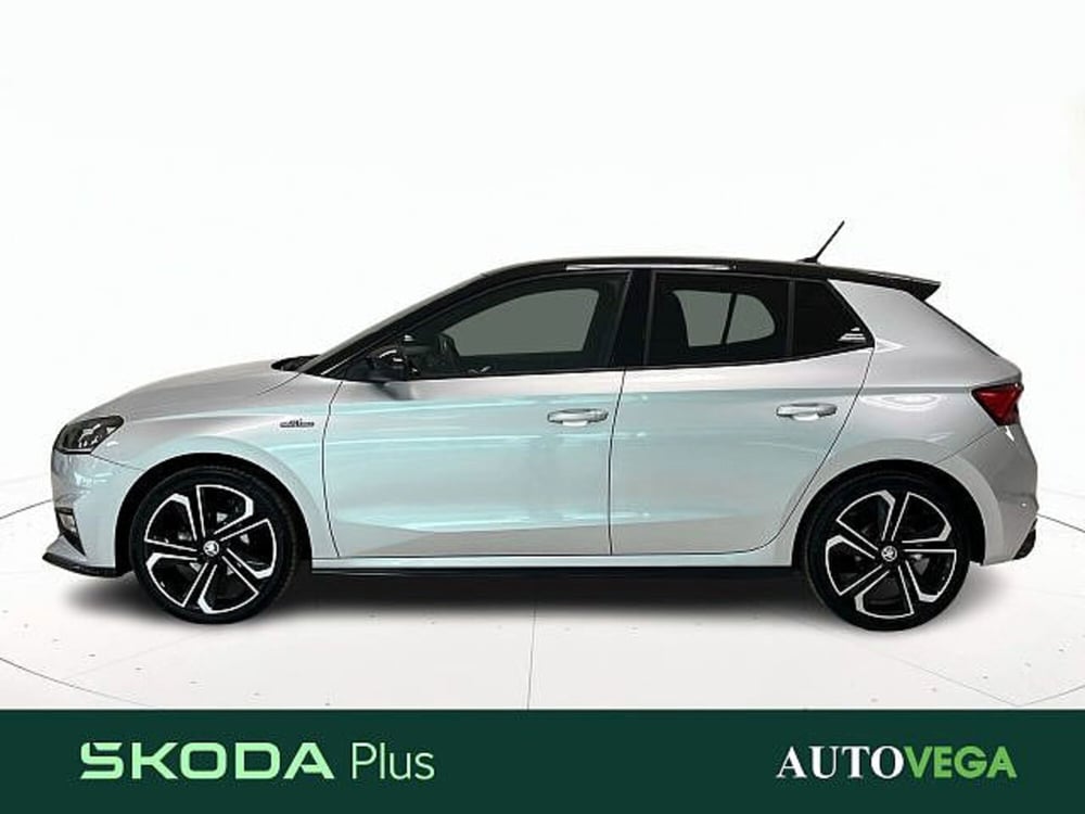Skoda Fabia usata a Vicenza (3)