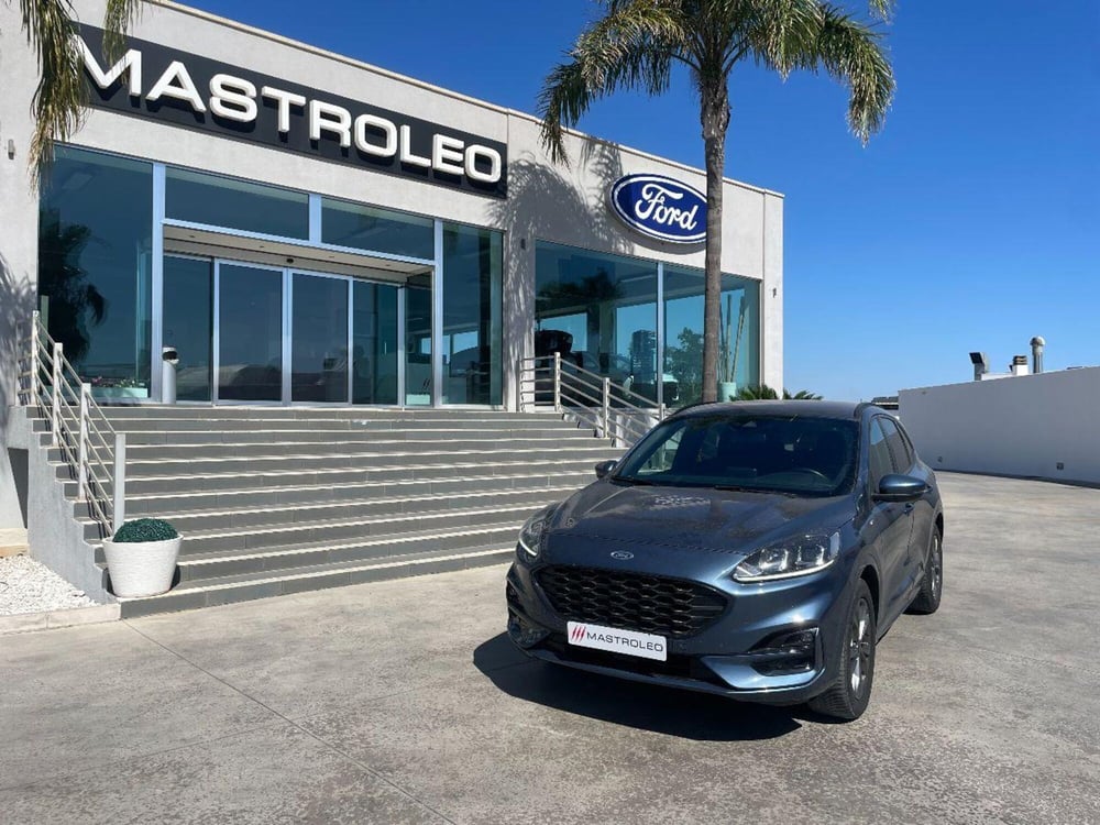 Ford Kuga usata a Lecce (2)