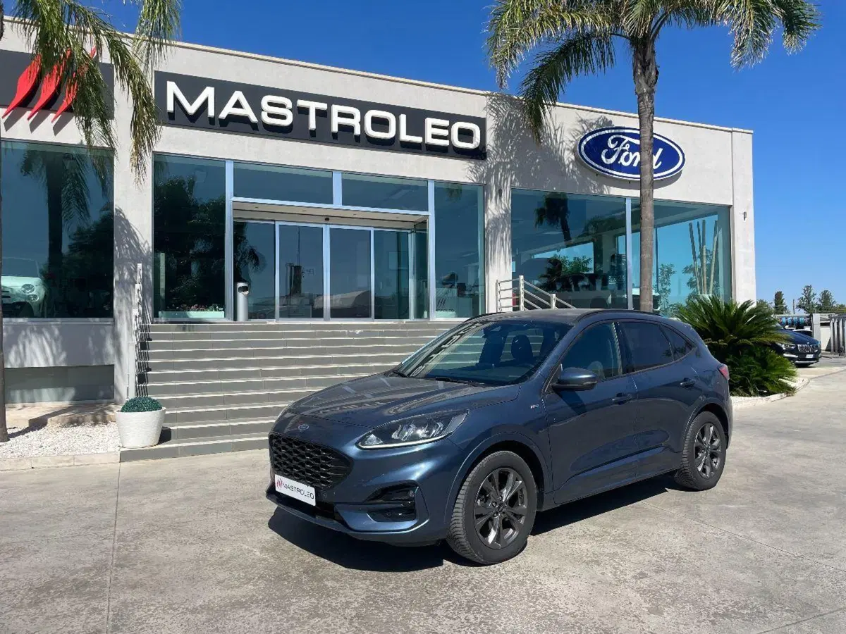 Ford Kuga usata a Lecce (3)