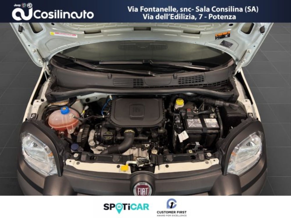 Fiat Panda Cross usata a Salerno (10)