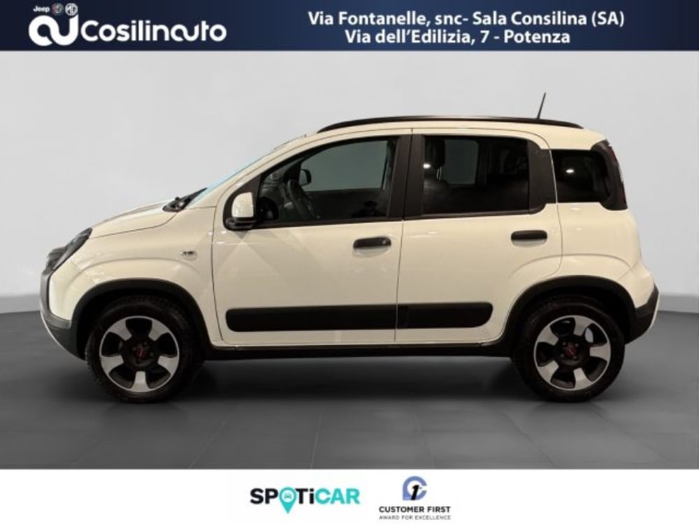 Fiat Panda Cross usata a Salerno (2)