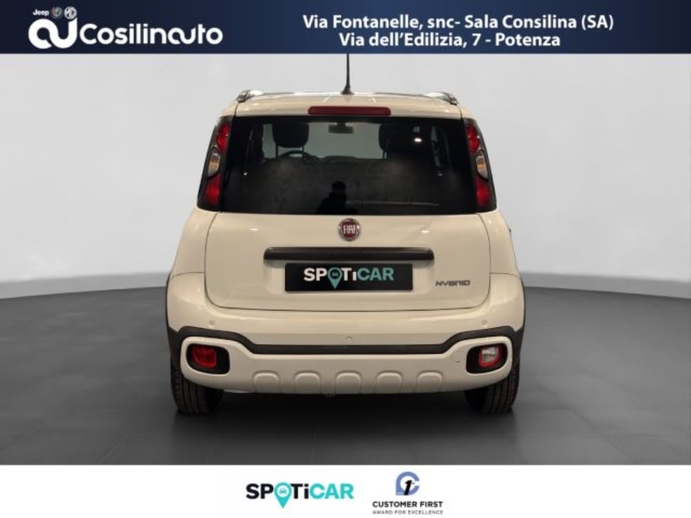 Fiat Panda Cross usata a Salerno (4)