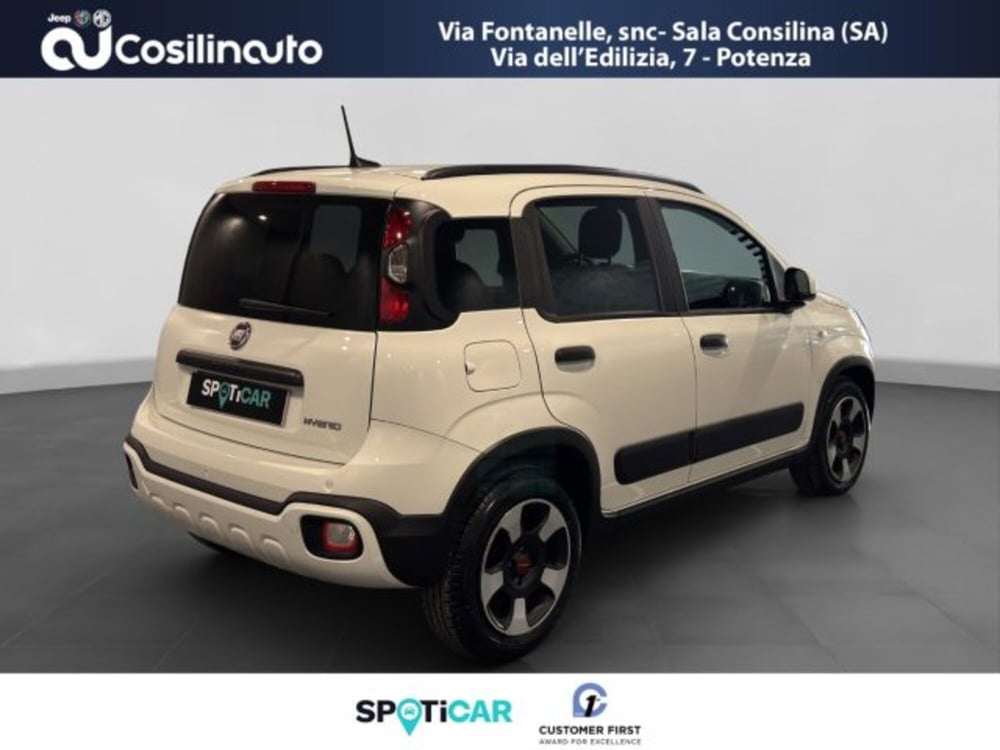 Fiat Panda Cross usata a Salerno (5)