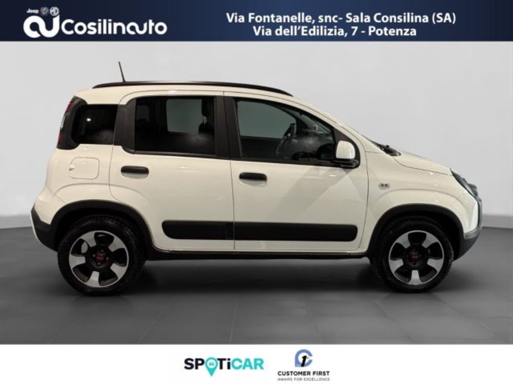 Fiat Panda Cross usata a Salerno (6)