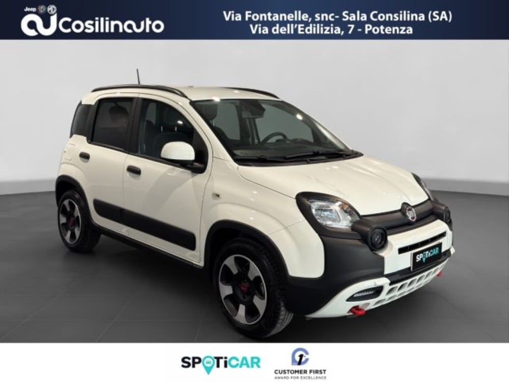 Fiat Panda Cross usata a Salerno (7)