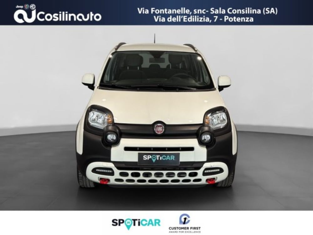 Fiat Panda Cross usata a Salerno (8)