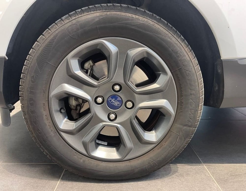 Ford EcoSport usata a Ferrara (14)
