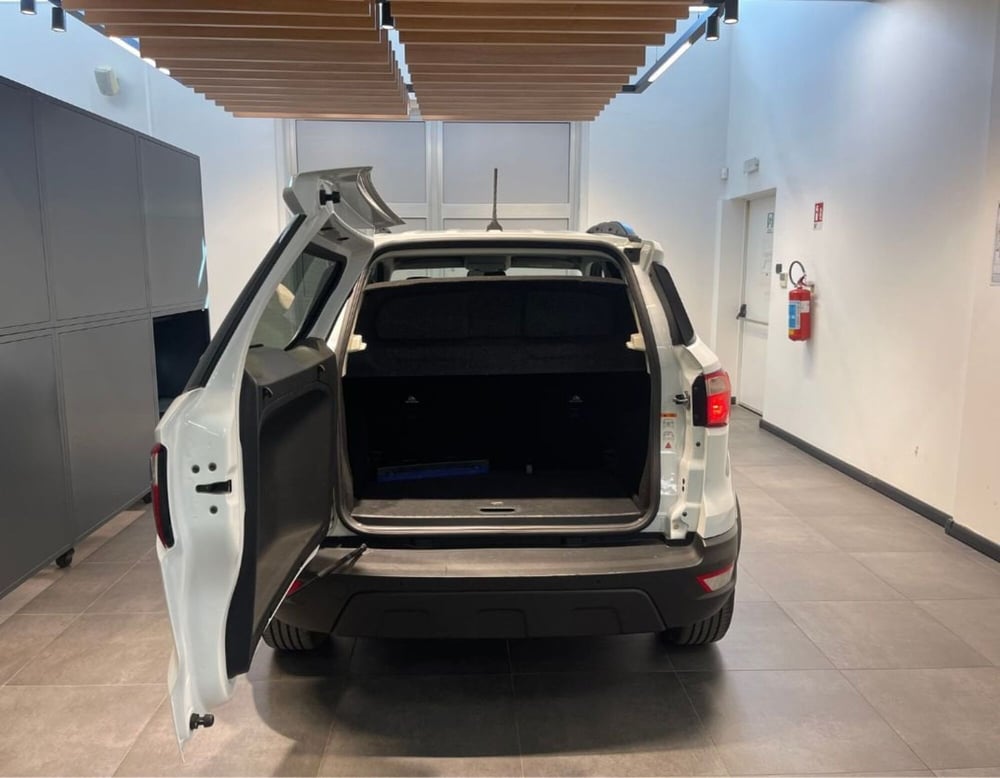 Ford EcoSport usata a Ferrara (9)