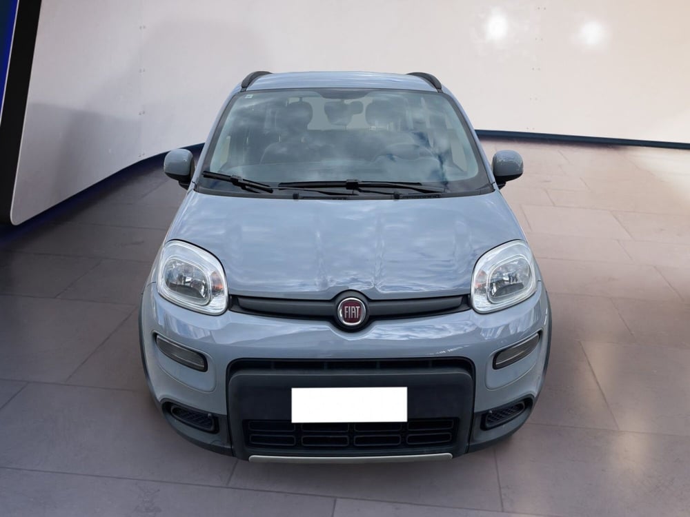 Fiat Panda usata a Torino